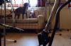 Stella i studion inf�r inspelingen av Stellas s�ng